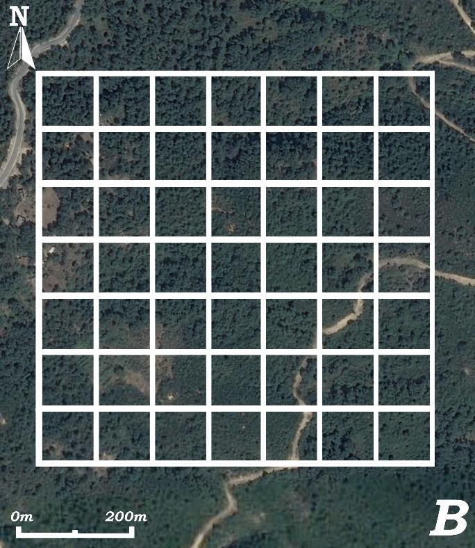 abundance (Table 1). Forest biotopes are the most widespread in this study in the different study sites, 30quadrats (61.224%) in the first site and 37quadrats (75.