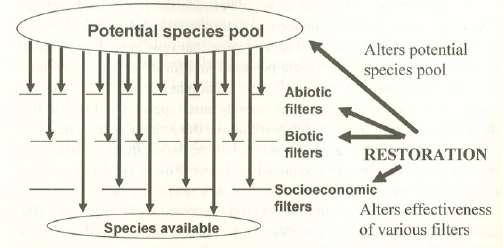 2004 Environmental filters