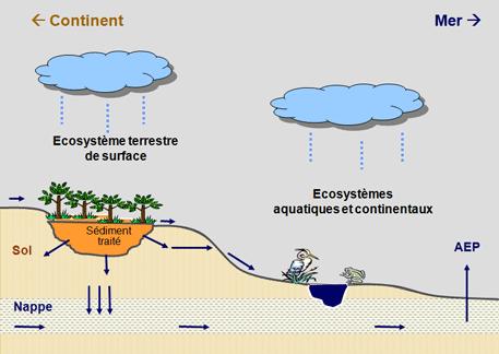 SEDIGEST scientific objectives : To study ecological impacts of this option in terms of : - pollutant flux emissions
