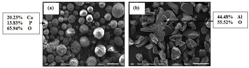 procured from Inframat Advanced Materials LLC, USA. The micrographs of the feedstock used for plasma spraying are shown in Fig.1.