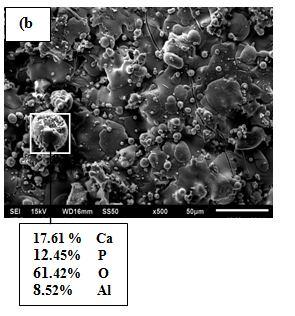 Coating Analysis SEM images with EDAX analysis of the pure and reinforced coated specimens of the pure Ti are represented in Fig.