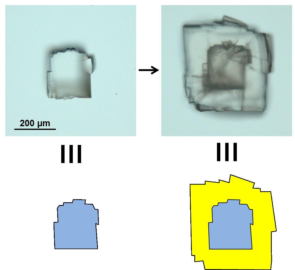Fig. S3 Optical microscopy images of