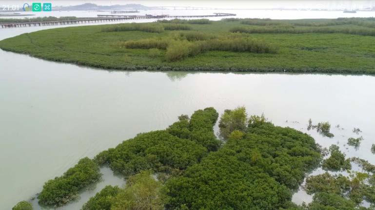 saltmarsh (in North China) and mangrove (in South China), including seagrass