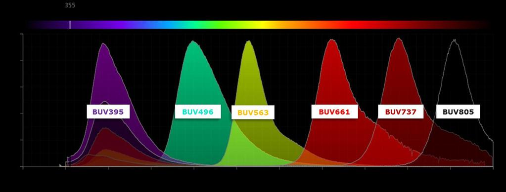 1 3 BD Horizon Brilliant Ultraviolet dyes Six fluorochromes