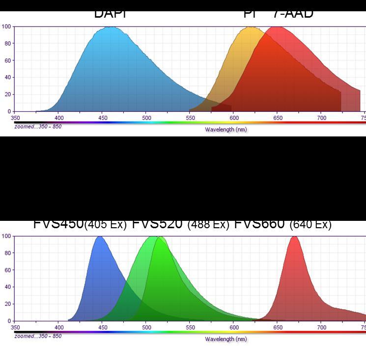 2 2 Assessing cellular viability DNA intercalation dyes (eg, PI, 7-AAD,