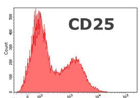 often over a continuum Examples: CD27, CD28, CD45RA, CD45RO Tertiary: Expressed