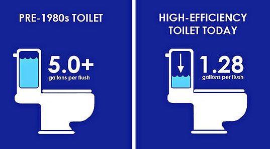 Some concern existed over whether low flush toilets would lose flushing power needed for certain