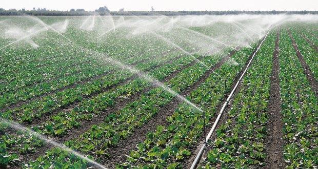 IRRIGATION SCHEDULING This means that water users follow a schedule of when they can water plants.