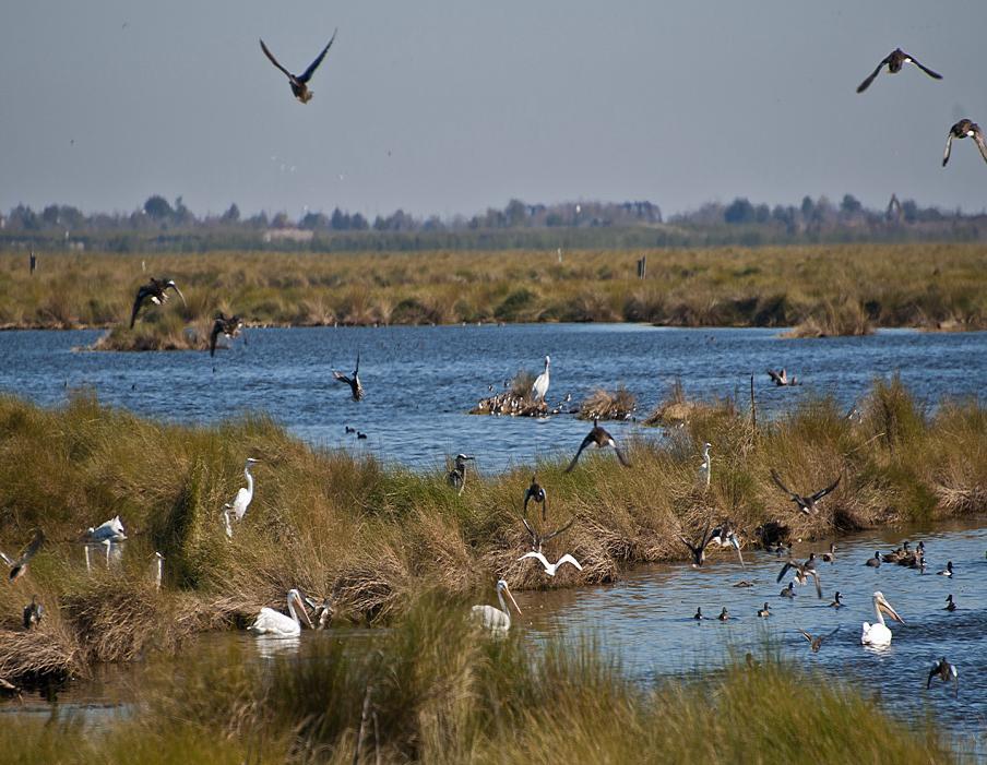 Dept of Interior Lands US Fish & Wildlife Service (USFWS) Agency in charge National Wildlife Refuges Mission of these lands is to conserve and enhance wildlife populations and