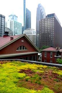Green Infrastructure - Examples Green Roofs A green roof system atop a building helps manage stormwater and reduce energy costs for cooling.