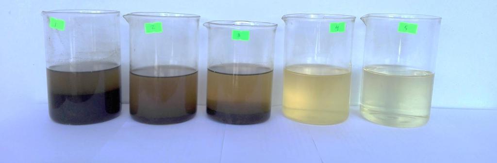 Raw Wastewater Effluent from Aeration Tank Effluent from Anoxic Tank Effluent from Sedimentation