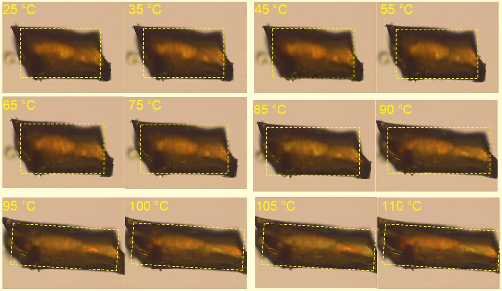 Supporting Figure SF6. Transmission optical microscopy images of the poly[(3,4-3,5)16g2-4ebn] 2.