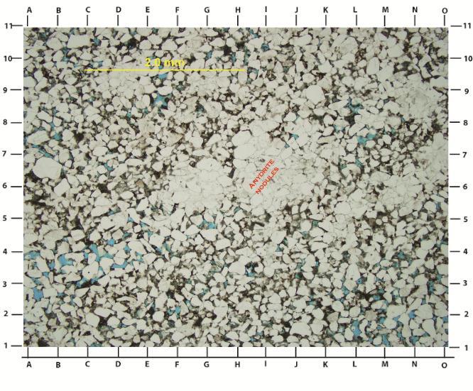 1 Thin section analysis done by Peigui Yin: The LHS image shows the anhydrite
