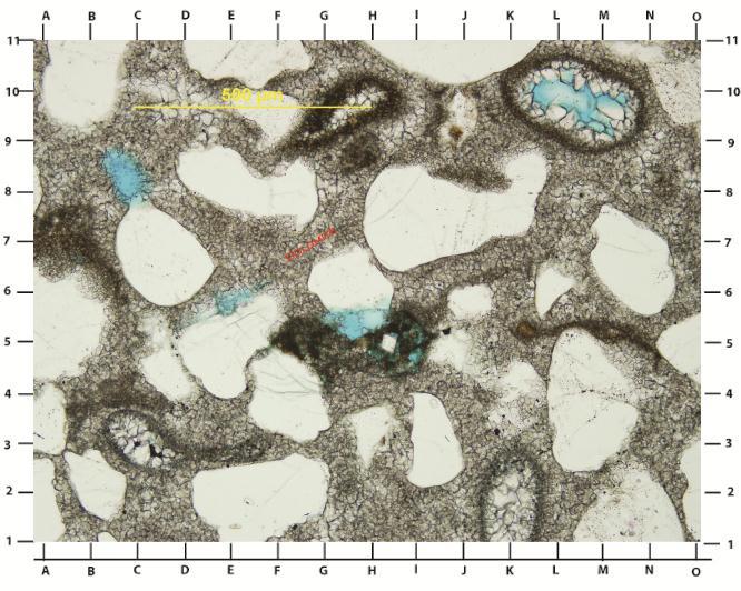 2 Thin section analysis done by Peigui Yin: The LHS image shows the