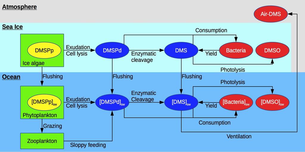 Methods: Sulfur cycle model Blue: Prognostic Yellow: Diagnostic Green: Ecosystem model