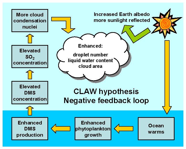 Intro: DMS and Climate CLAW hypothesis: Climate regulation via oceanic DMS emissions