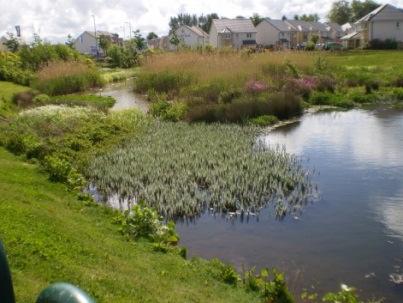 and holistic strategy. Retention pond as part of residential development to reduce flood risk, improve water quality, enhance biodiversity, habitat creation and community amenity 6.