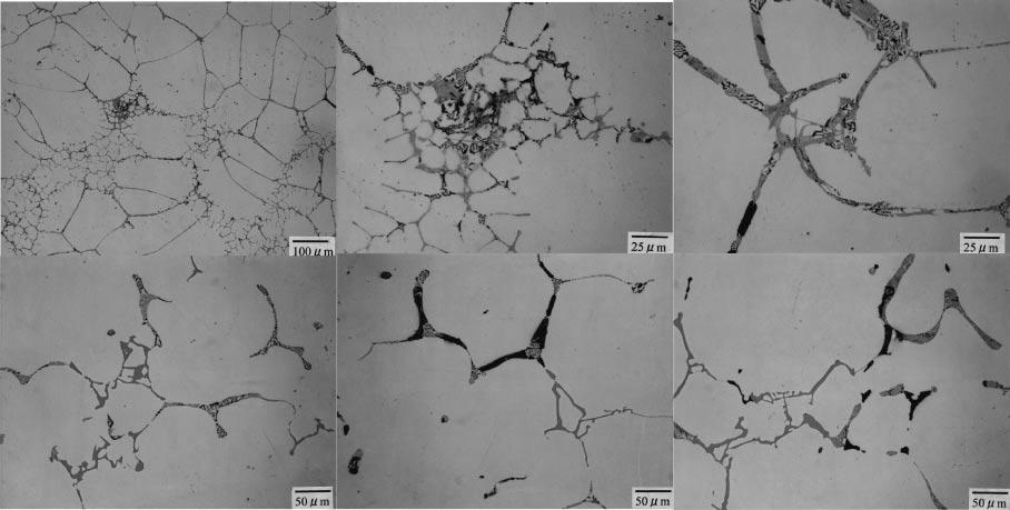 Effect of Iron Content on Hot Tearing of High-Strength Al-Mg-Si Alloy 8 T=93 K T=93 K T=898K Liquid α(alfemn) a) a) b) µm µm µm T=848 K T=838 K Mg Si T=83 K Mg Si Al Cu Mg 8 Si c) µm d) µm e) µm Fig.