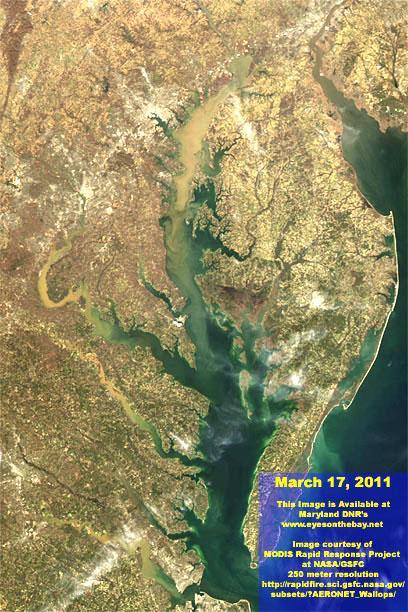 A spring freshet MODIS image of the Bay following a storm on 10 March 2011 with 2.