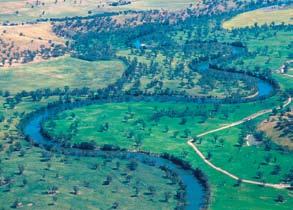 Murrumbidgee region >>The Murrumbidgee River near Wagga Wagga, NSW (CSIRO) The Murrumbidgee region is in southern New South Wales, is based around the Murrumbidgee River and covers 8.