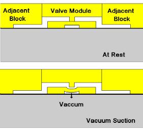two-layer valve module.
