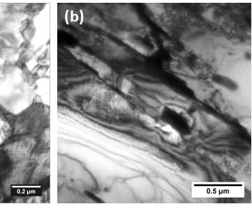 shows the TEM micrographs of the steels after long term thermal exposure at 823 K. Fig. 3.