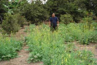 Appendix 7: Monitoring of the Crop Cultivation in Various Stages The team of CDEA was responsible for the