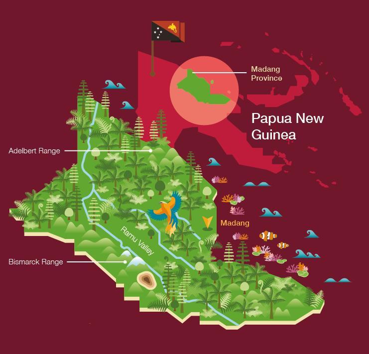 Madang Province, Papua New Guinea Low Emission Land Use Plan Consider a business-as-usual pathway and associated emissions from the forest and land use sector Assess alternative low emission