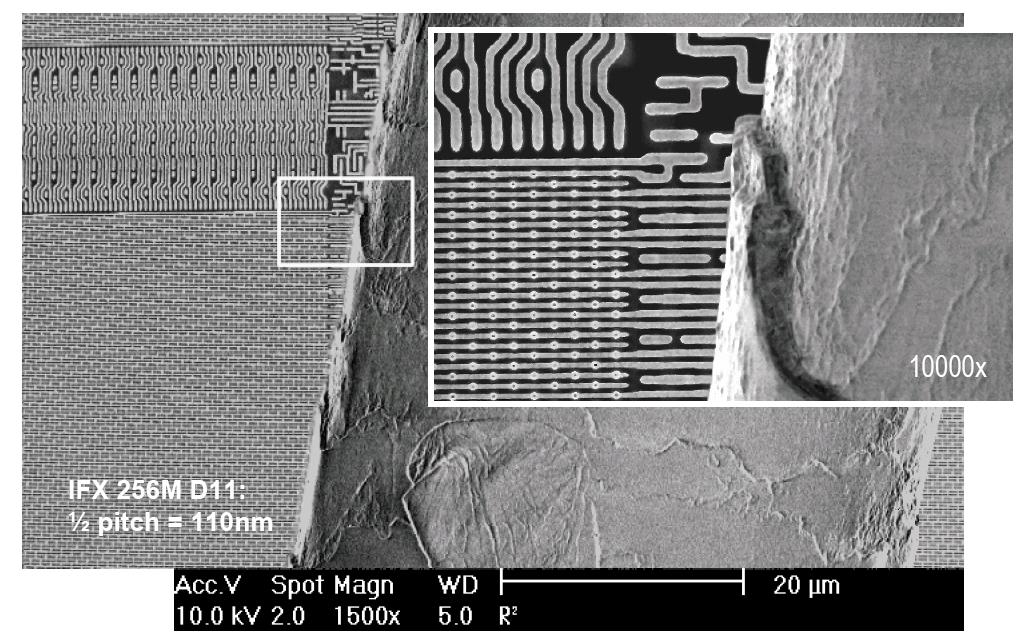 Components to 1 cm 2 Human hair on the surface of the chip It s very small world