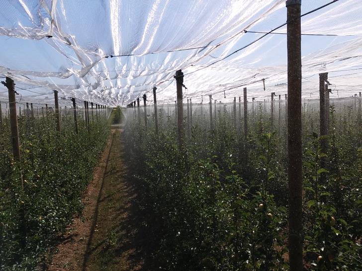 canopy fixed spraying system *