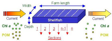 Assessment of sustainability and risk in fish and shellfish aquaculture 8 FARM TM (Farm Aquaculture Resource Management) FARM TM can assist an underwriter or insurance broker in assessing whether a