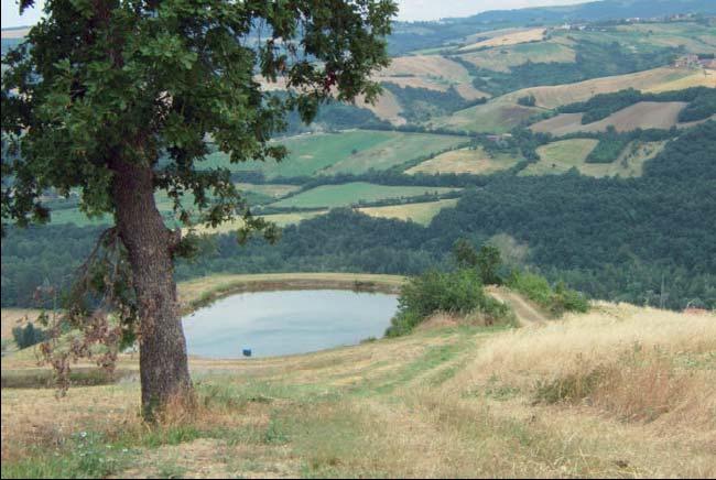 WATER BALANCES (L/ha) IN TUSCANY The agriculture need of water is 150 million of m 3 IN SET-ASIDE LANDS (50 000 HA) THE WATER NEED IS ABOUT 132-158 million of m
