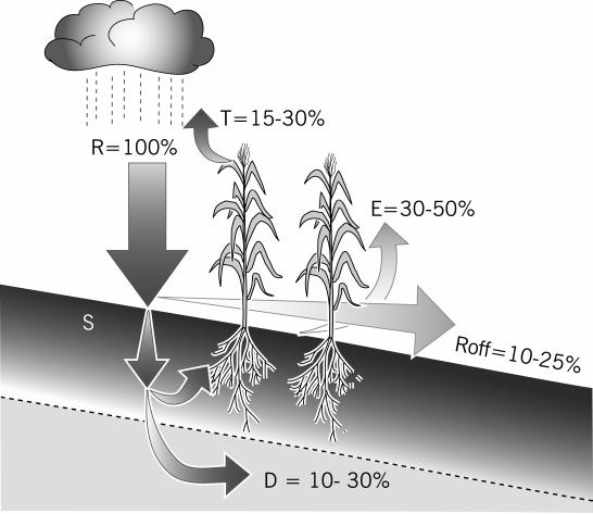 WATER USE The water use related to the bioenergy systems consists of: 1. ET connected to the energy crop production (CULTIVATION PHASE) UNPRODUCTIVE LOSS 2.