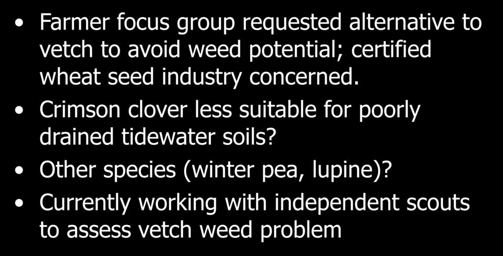 Legume selection Farmer focus group requested alternative to vetch to avoid weed potential; certified wheat seed industry concerned.