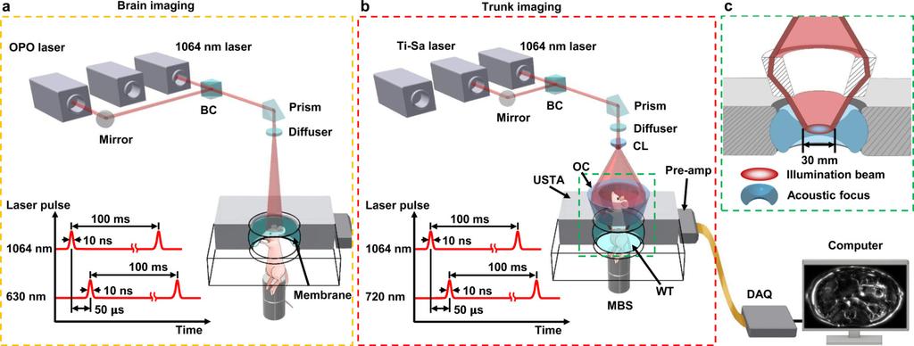 Li et al. Page 19 Figure 1. Schematics of the SIP-PACT system for (a) brain and (b) trunk imaging.