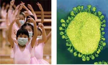 Evolution of Viruses How did viruses originate? The most complex or simplest forms of life?