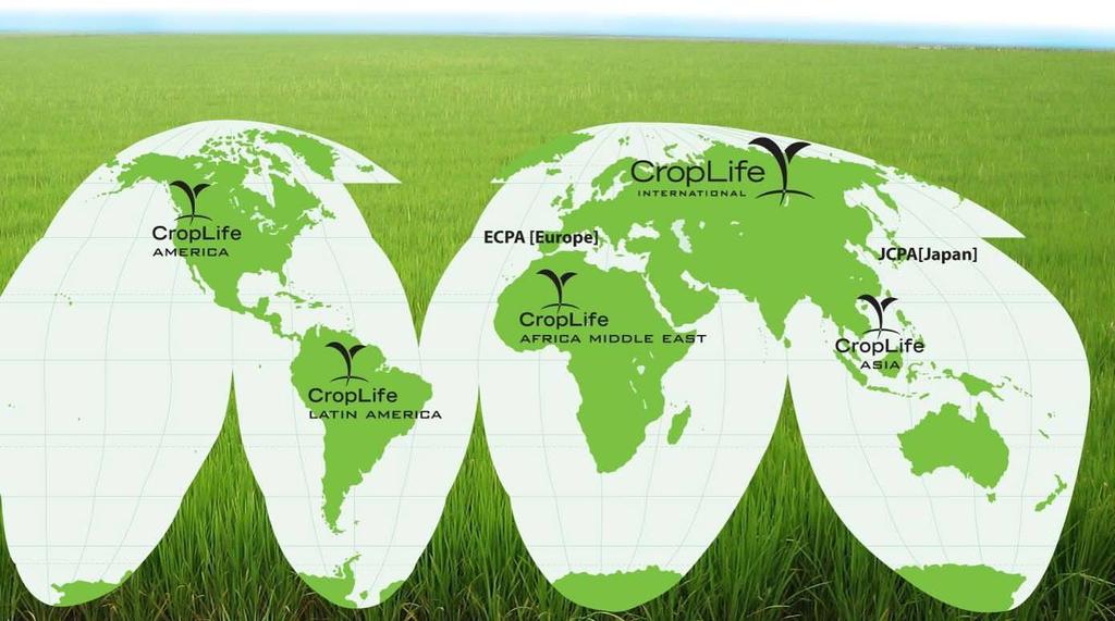 A Global Federation representing the Plant Science Industry in 91 countries Associations AfricaBio AgroBIO Mexico AgroBio Brazil BIO Production Agriculture Assoc CIB CBI Japan EuropaBio CropLife