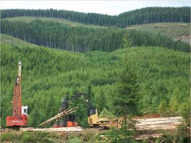 For this research, the logging residue factors were used to aid in quantifying feedstock supplies.