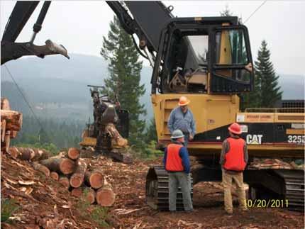 Logging Utilization Methods Site information from loggers & foresters Equipment & methods used. Products & receiving mill(s).