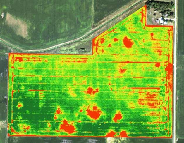pre-construction cover Normalized Difference Vegetation Index (NDVI) Measures