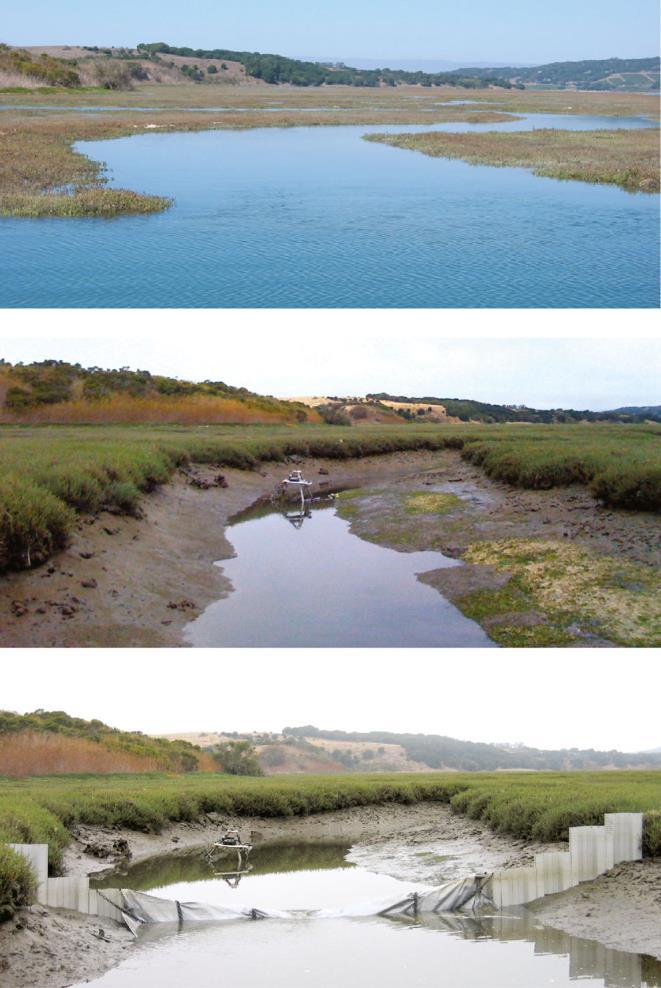 Parsing physical from biogeochemical: notoriously difficult Estuaries and Coasts (2014) 37 (Suppl 1):S91 S110 DOI 10.