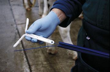 Animal management Breeding Poor fertility increases the number of replacements