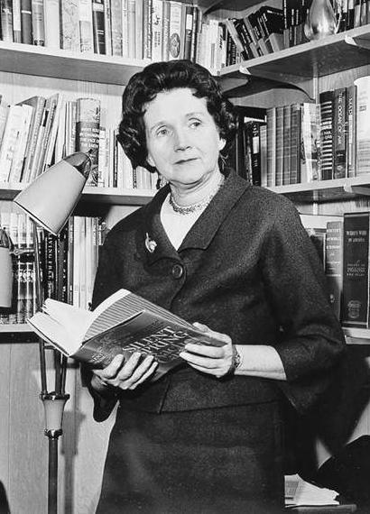Modern Environmentalism Rachel Carson wrote a book entitled Silent Spring about the effects of pesticides on