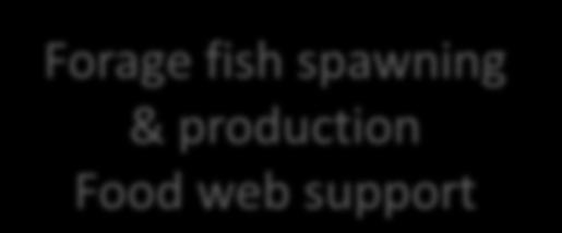 spawning Function & production