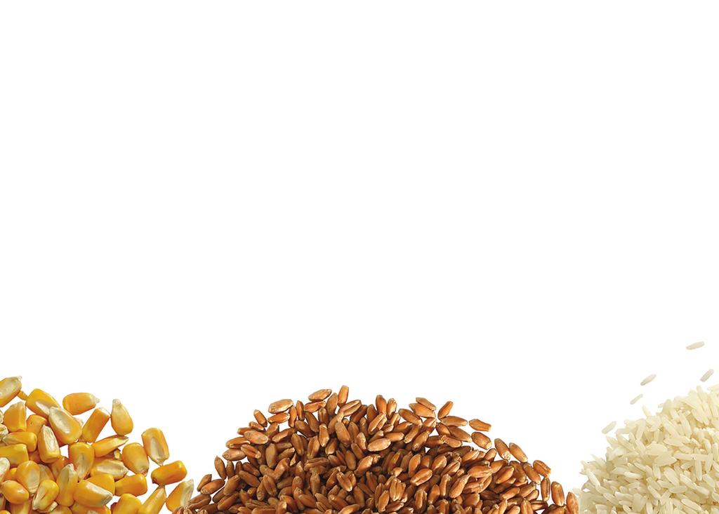 BUG FREE GRAINS STORED PRODUCT SOLUTIONS The Bug Free Grains lineup from Central Life Sciences includes a variety of products such as insect growth regulators, synergists and insecticides.