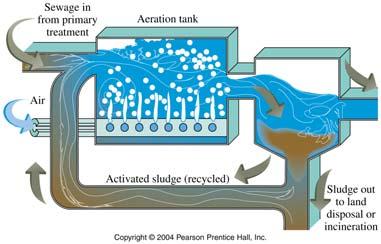 treatment Secondary sewage treatment Natural