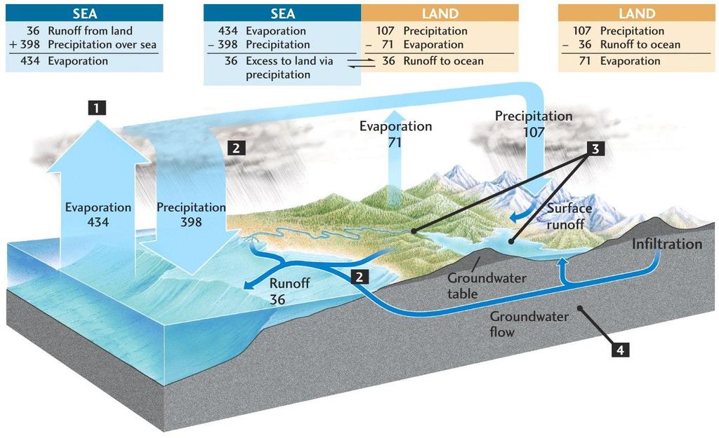 Hydrologic Cycle The cyclical movement of water from the ocean to the atmosphere by evaporation, to the surface through precipitation, to streams through runoff and groundwater, and back to the ocean.