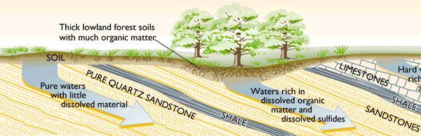Aquifers: Aquifer: A body of rock that is sufficiently permeable to conduct ground water and to yield economically significant quantities of water to wells and