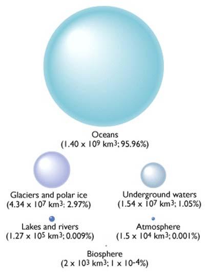 Zone Aquifers Water Table