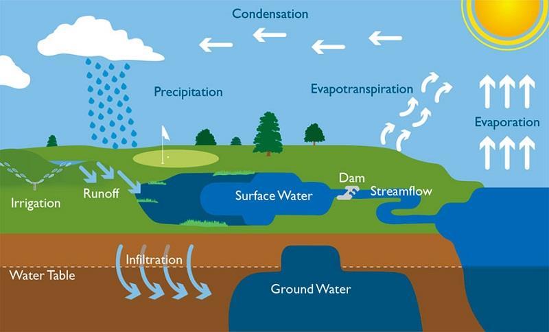 The Water Cycle - the model used to illustrate the storage and the continuous movement of